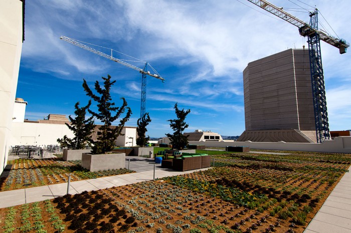 7399387252_bbf47b5fe2_b 7399387252_bbf47b5fe2_b